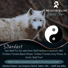 Load image into Gallery viewer, Wolf Fur!
