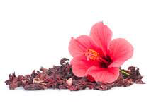 Hibiscus Flower (Herb)