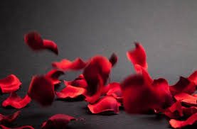 Red Rose Petals (Herb)